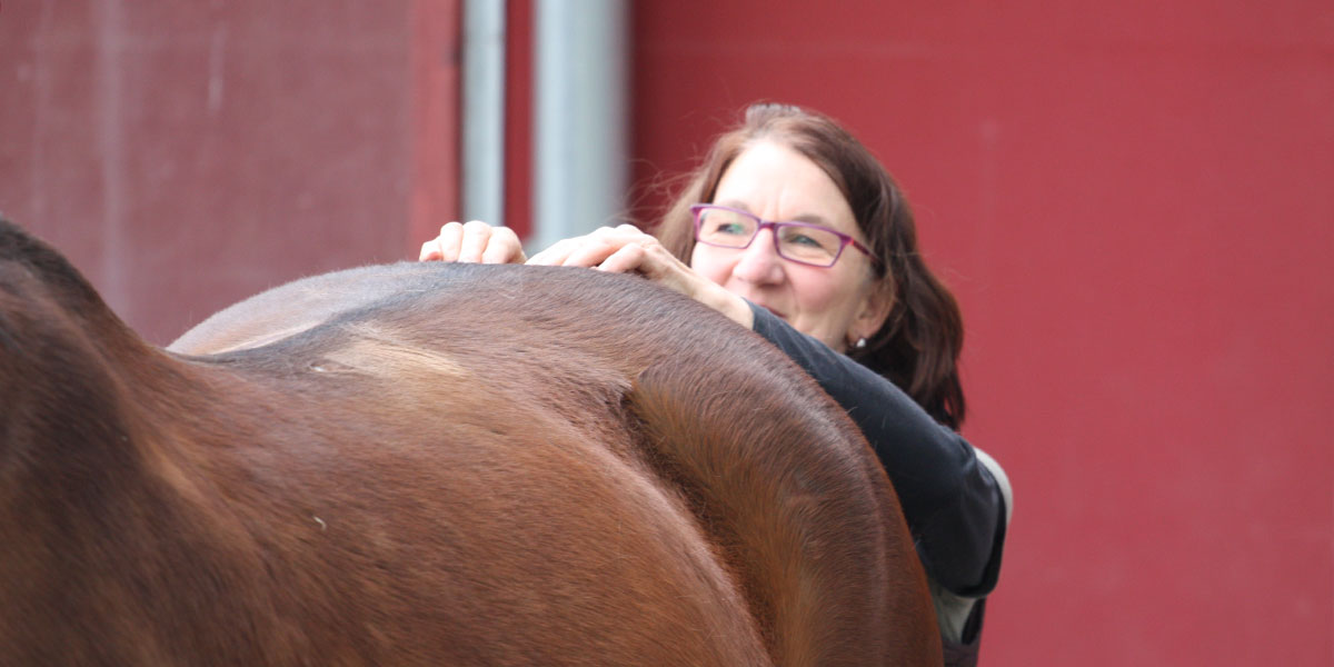 Dorntherapie für Pferde